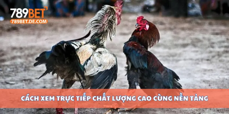 Cách xem trực tiếp chất lượng cao cùng nền tảng