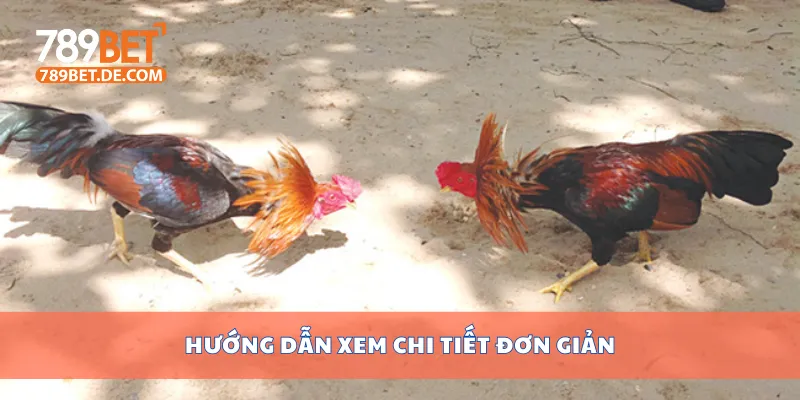 Hướng dẫn xem chi tiết đơn giản