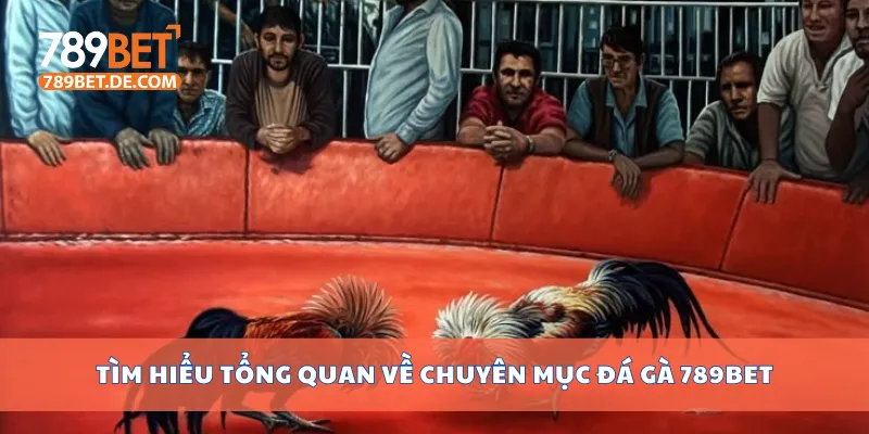 Tìm hiểu tổng quan về chuyên mục đá gà 789bet